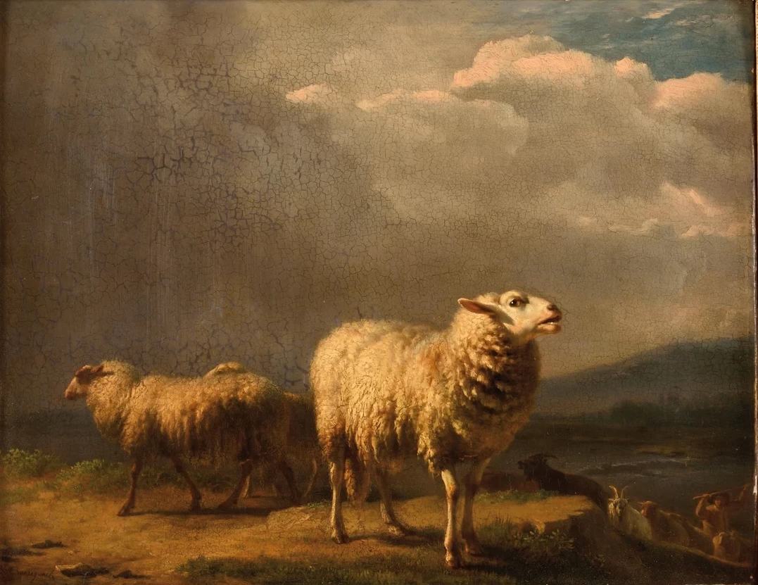 Balthasar Ommeganck - pastore con pecore e capre davanti alla sua capanna
